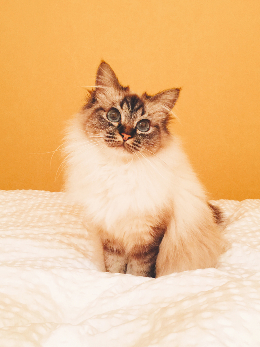 Processed with VSCO with a6 preset