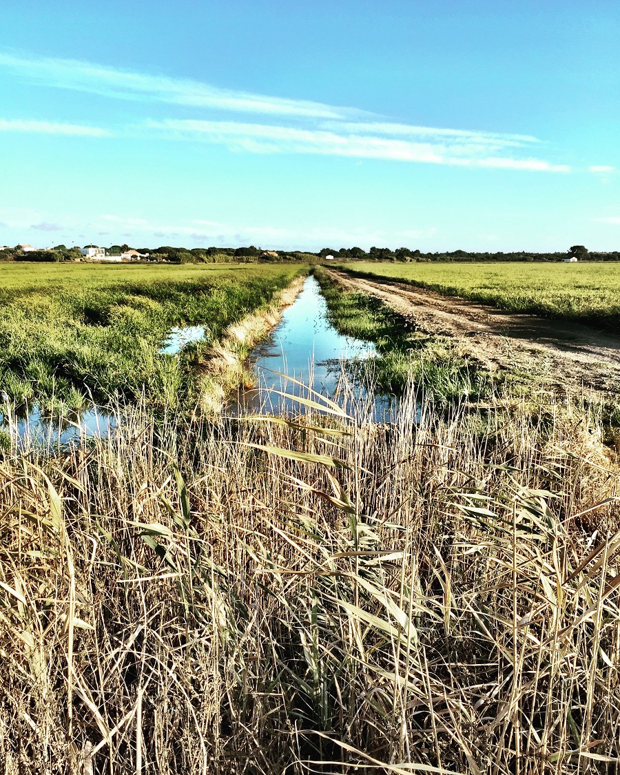 Célébrer la rentrée