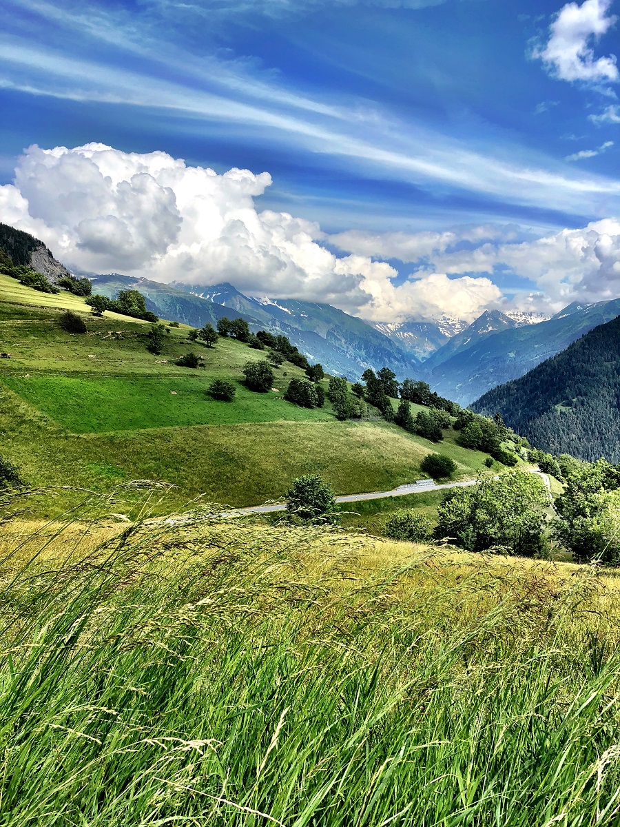 Fêter le 1er août, jour national de la&nbsp;Suisse